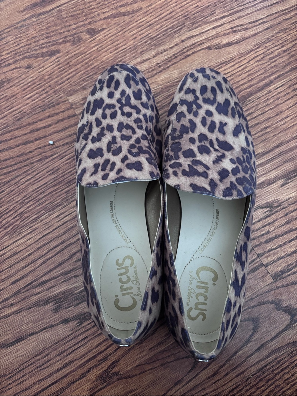 Circus by Sam Edelman loafers.